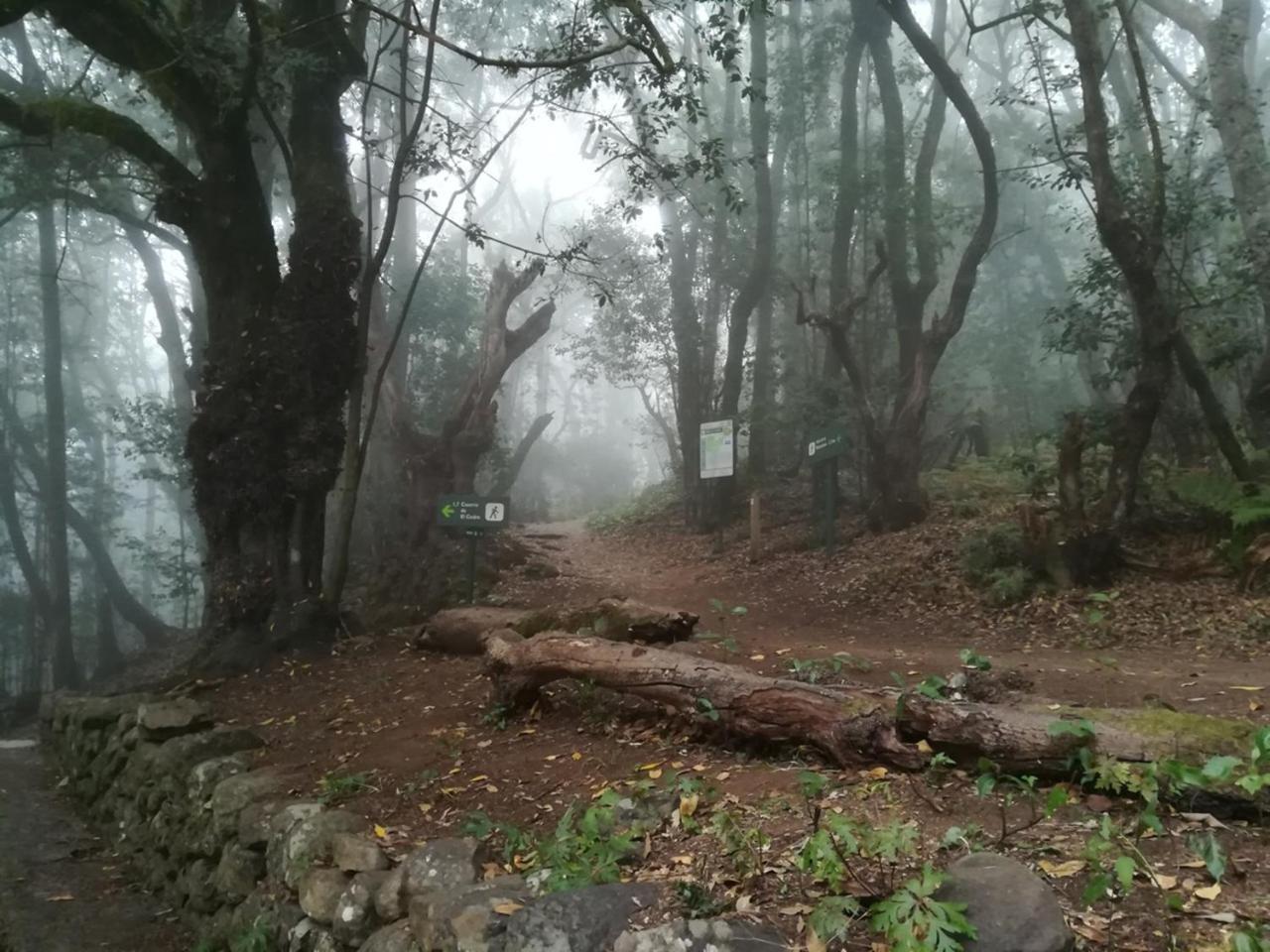 Casa Rural Finca La Maleza Agulo Bagian luar foto