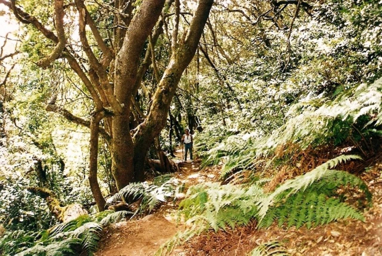 Casa Rural Finca La Maleza Agulo Bagian luar foto