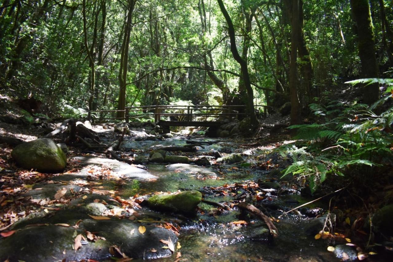 Casa Rural Finca La Maleza Agulo Bagian luar foto